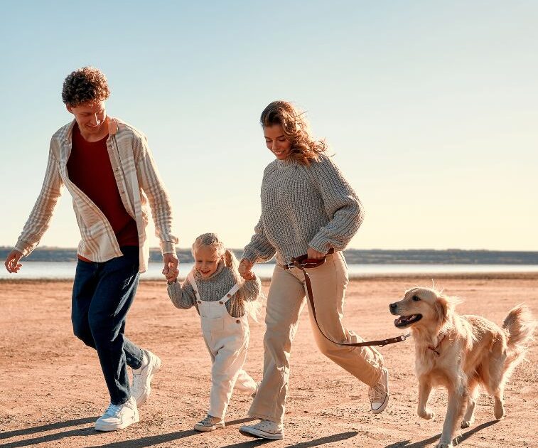 Playas para perros en la costa dorada para tus vacaciones