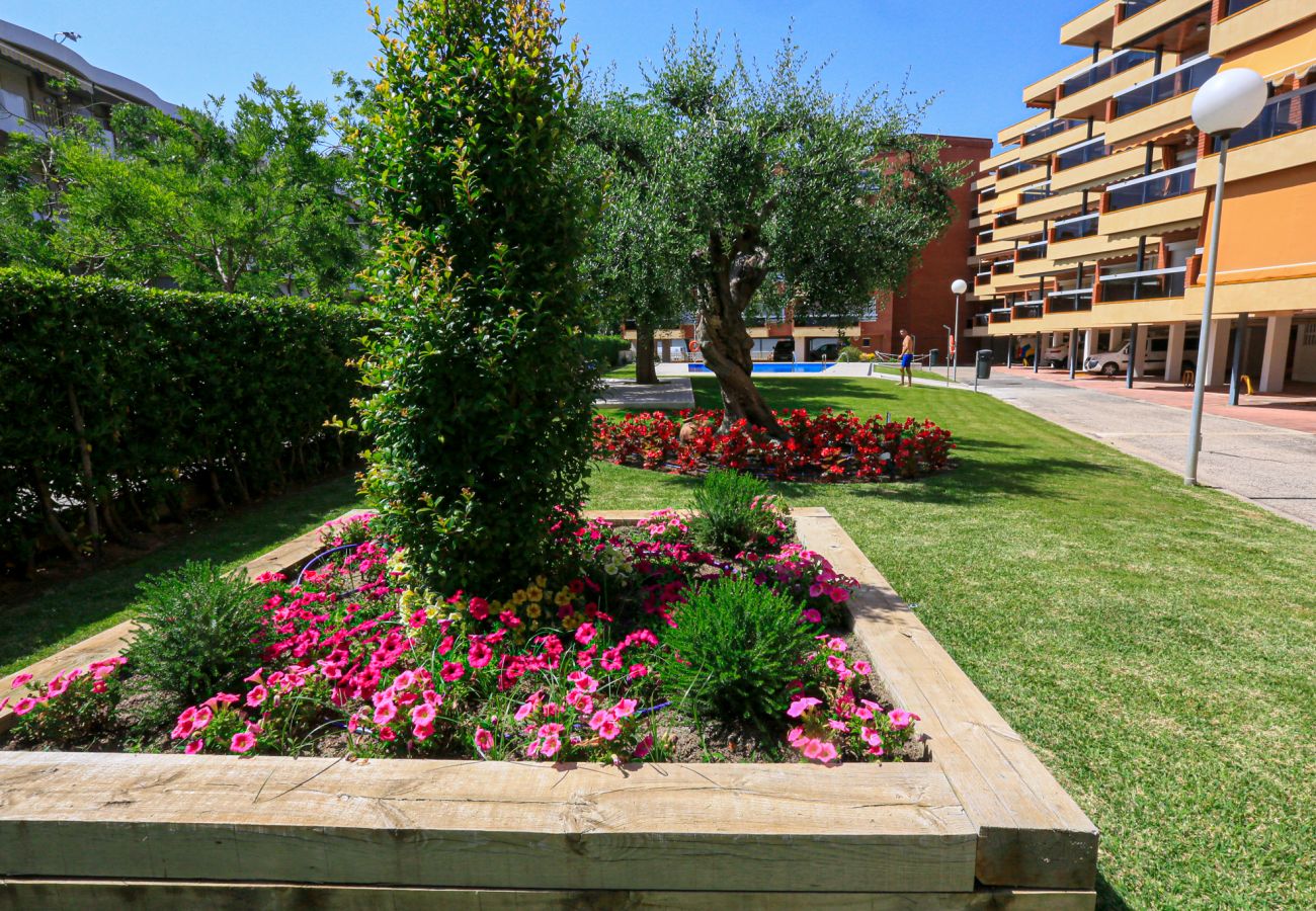 Appartement à Cambrils - Mas den Gran D 1 7